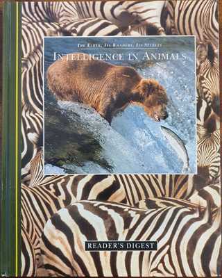 Intelligence In Animals | The Maleny Bookshop 0754943666