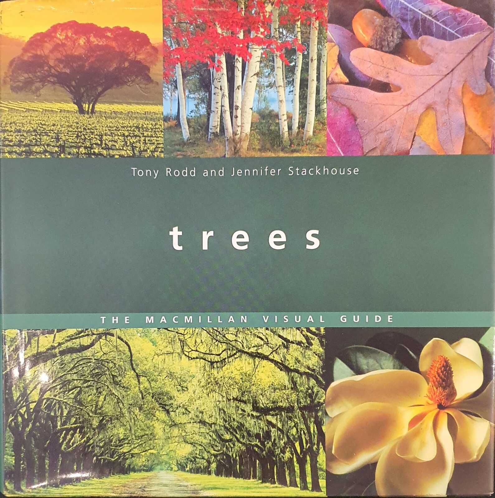 Trees: The Macmillan Visual Guide Tony Rodd, Jennifer Stackhouse ...