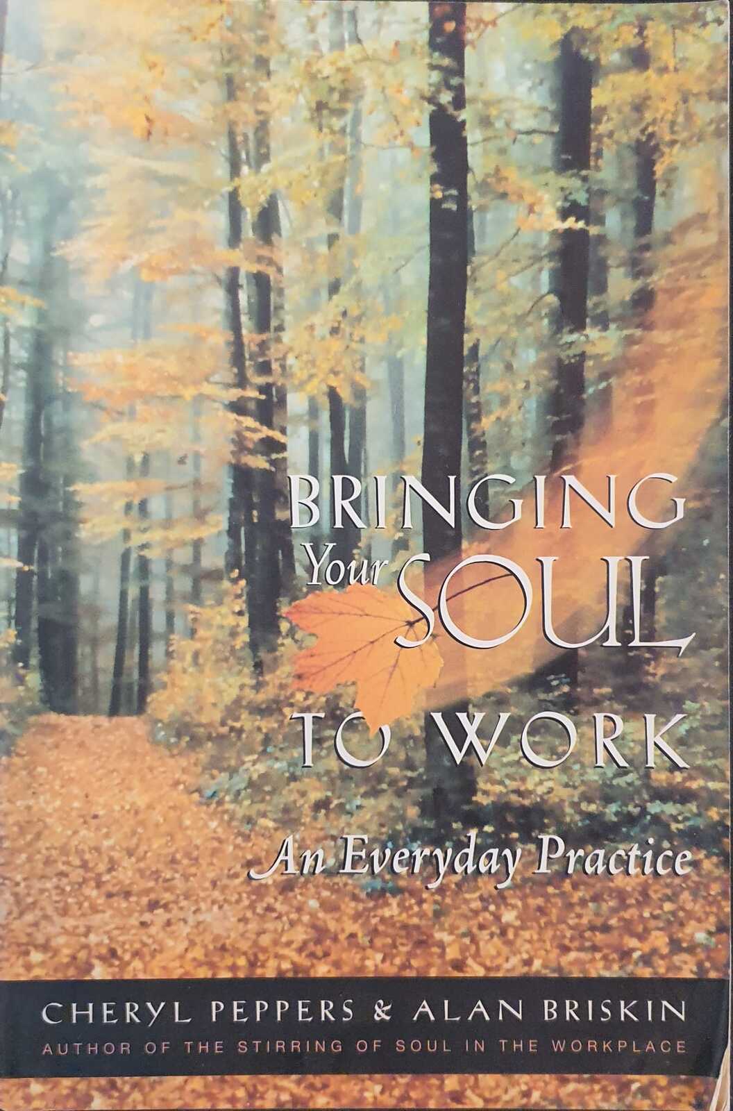 Bringing Your Soul To Work