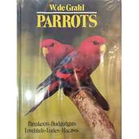 Parrots
