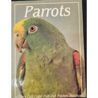 Parrots