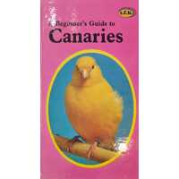 A Beginner's Guide to Canaries