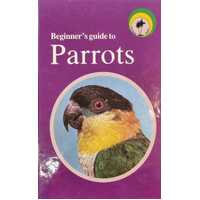 Beginner's Guide to Parrots