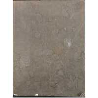 The Official 1973 Black Book of United States Coins