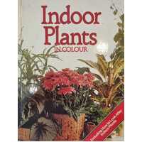 Indoor Plants In Colour