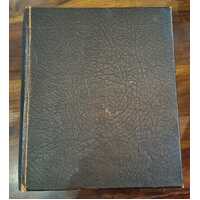 The Holy Bible, Containing the Old Testament and The New. Newly Translated out of the Original Tongues, and with the Former Translations diligently co