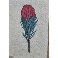 Plantable Cards - Lemon Scented Bottle Brush