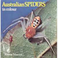 Australian Spiders In Colour