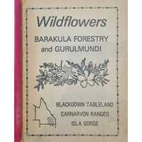 Wildflowers Barakula Forestry and Gurulmundi