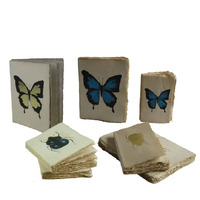 Cabinet of Curiosity Parchment Paper Notebook