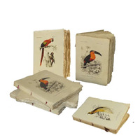 Parchment Notebook with Bird Design, Toucan, Parrot...
