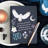 Guardian of Secrets Owl A5 Lined Journal and Pen Set