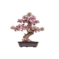 ROBOTIME CREATION SET SAKURA BONSAI