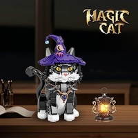 Magic Cat Block Set