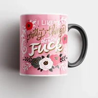 I Like Pretty Things and the word Fuck MUG