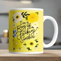 I'm A Ray of Fucking Sunshine Mug
