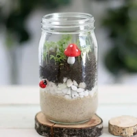 DIY Mini Garden