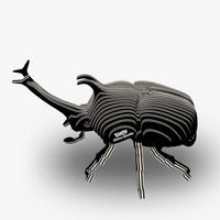 Eugy Rhino Beetle