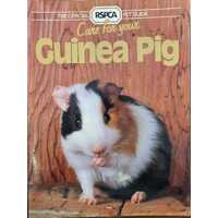 Care For Your Guinea Pig