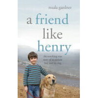 Friend Like Henry