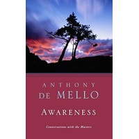 Awareness The Perils and opportunities of reality