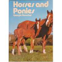 Horses And Ponies