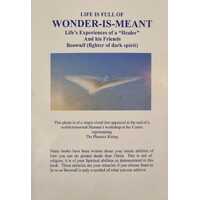 Wonder-Is-Meant