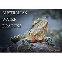Australian Water Dragons