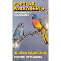 Popular Parrakeets