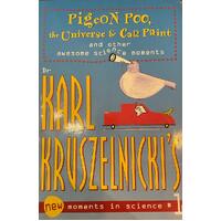 Pigeon Poo, the Universe & Car Paint
