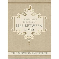 Llewellyn's Little Book of Life Between Lives