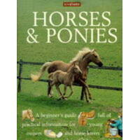 Horses And Ponies
