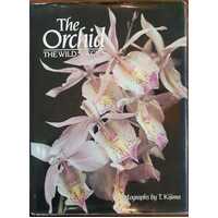 The Orchid The Wild Species