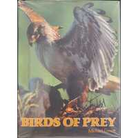 Birds Of Prey