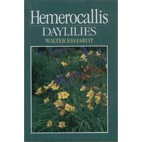 Hemerocallis Daylilies