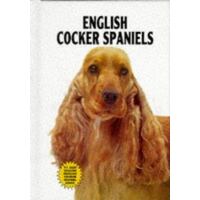 English Cocker Spaniels