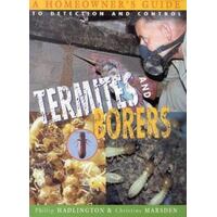 Termites And Borers - A Homeowner's Guide