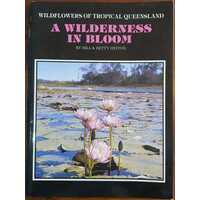 A Wilderness In Bloom: Wildflowers Of Tropical Queensland (2Nd Edition)
