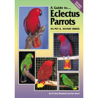 A Guide To Eclectus Parrots As Pet And Aviary Birds