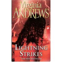 Lightning Strikes - Hudson Family Series #2