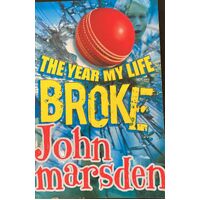 The Year My Life Broke