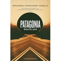 Patagonia Route 203