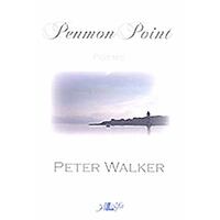 Penmon Point