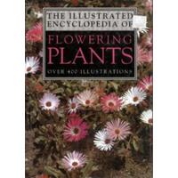 An Illustrated Encyclopedia Of Flowering Plants