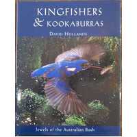 Kingfishers And Kookaburras
