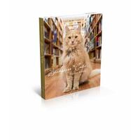 Bookstore Cats (Hb)