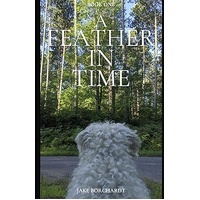A Feather in Time