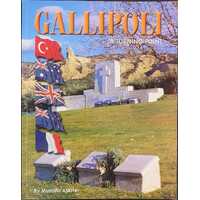 Gallipoli : A Turning Point