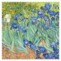 Van Gogh – Irises, 1889