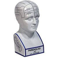 Phrenology Head - Authentic Models